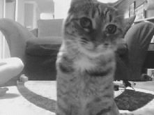 Chcę cb.Tylko cb :**