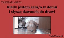 święta prawda