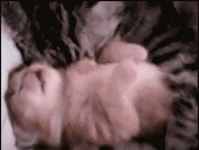 Sama słodycz... Ohhh <3
...