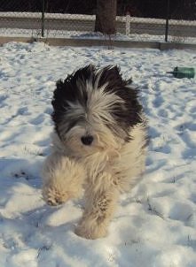 Poczuć ten wiatr we włosach...