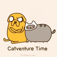 Catventure Time