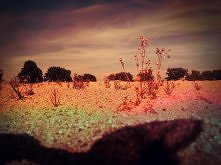 Odpoczywając nad wodą.