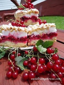 Pleśniak z porzeczką <3