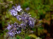 Czasem warto zmienić perspektywę.