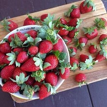 Jak lubicie jeść truskawki?...