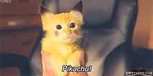 pikachu!! dla Wery i Kasi