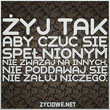 rób to co lubisz