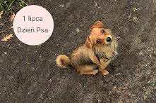 lifemanagerka.pl/
