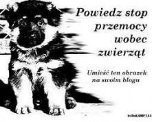 STOP PRZEMOCY WOBEC ZWIERZĄT!