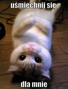 654894541026342584204