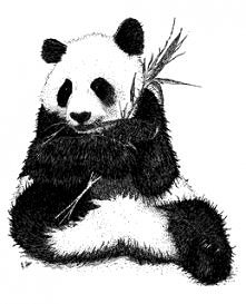 panda art