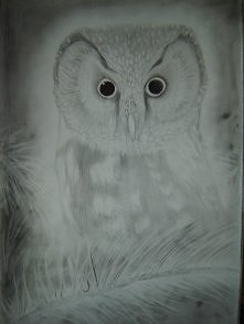 Sówka, kadłubek nie poszedł tak jak trzeba