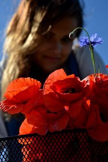 Nowa sesja z makiami, zapra...