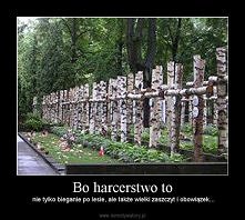 Jestem harcerką i jestem z ...