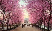 Japonia.  Obiecuje , kiedyś cie odwiedzę. .. czekaj na mnie! !