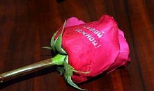 Bio flamaster - końcowy efekt