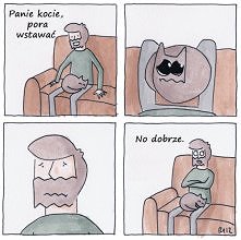 Chyba każdy właściciel kota to zna ^^