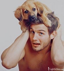 takie tam... z psem na głow...