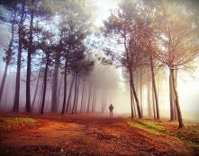 fot. Guillermo Carballa