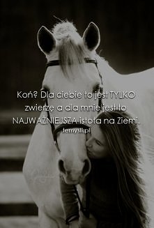 Koń?.....