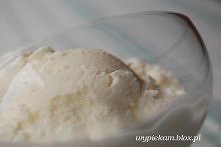 Najlepsze lody jogurtowe

Składniki (na ok. 4 porcje lodów):

250g jogurtu
85g śmietanki kremowej (30%)
75g cukru pudru
sok z połówki cytryny
Trzeba koniecznie dokładnie zważyć ...