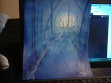 akwarelowy las. niestety zdjęcie robione tel