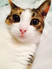 Lilly strzelila sobie sweet...