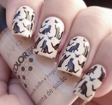 Coś dla kociar, wydaje mi s...