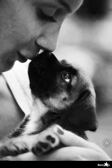 Jakie śliczneeeee ! ♥