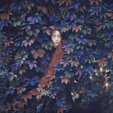 Oleg Oprisco