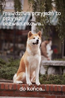 polecam film "Hachiko&...