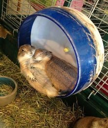 szczęśliwa rodzinka :D