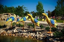 Magiczne Ptaki nad wodą w Magicznych Ogrodach