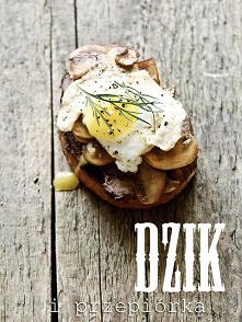 Dzik i przepiórka szukają wiosny