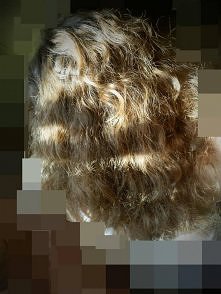 Ratujcie moje włosy! :( Mam strasznie zniszczone włosy, nie mam pojęcia co z nimi zrobić. Chce, żeby nie wyglądały jak siano i chociaż troche urosły. Nie prostuje, nie susze. Od...