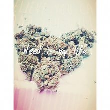 Weed is my life