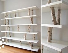 #birch_shelves