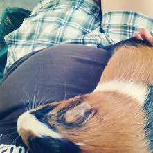 33 tydzień - brzuch pilnie strzeżony :)