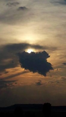 widzieliście kiedyś coś tak...