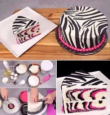 Tort zebra !