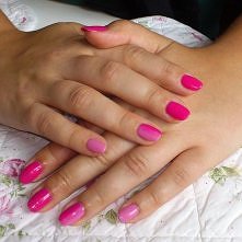 hybrydy firmy Estetiq fuksj...