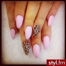 panterka mistrzunio :)