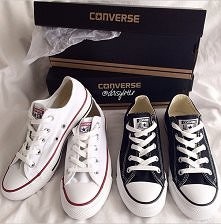 Do wszystkiego pasują :]