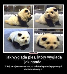 Słodki *o*