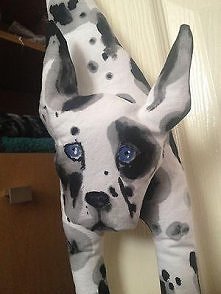 dog arlekin klamkowy