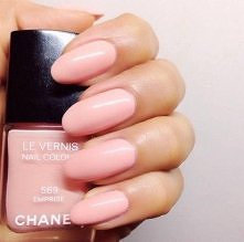 Paźuly.... ładne :)