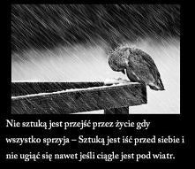 True...