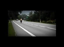 Ravi - List do Maliny