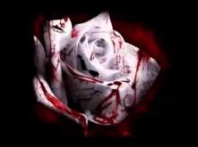 MKaZetKa x TMK aka Piekielny - Zraniona Miłość.. (KropkaBlend)