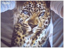 piękna <3  właśnie kupił...